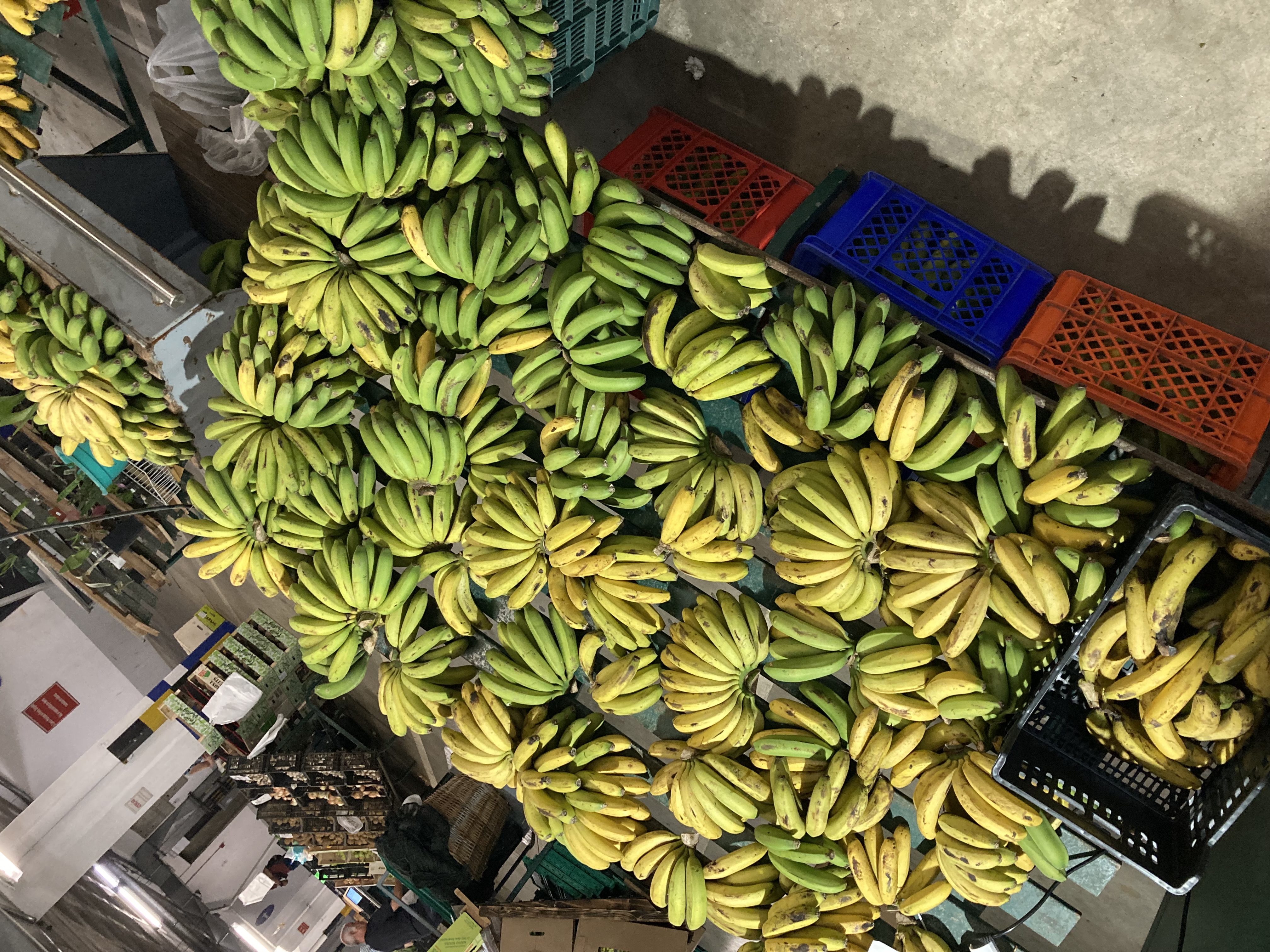 Photo of Mercado da Graça, Ponta Delgada, São Miguel, Azores