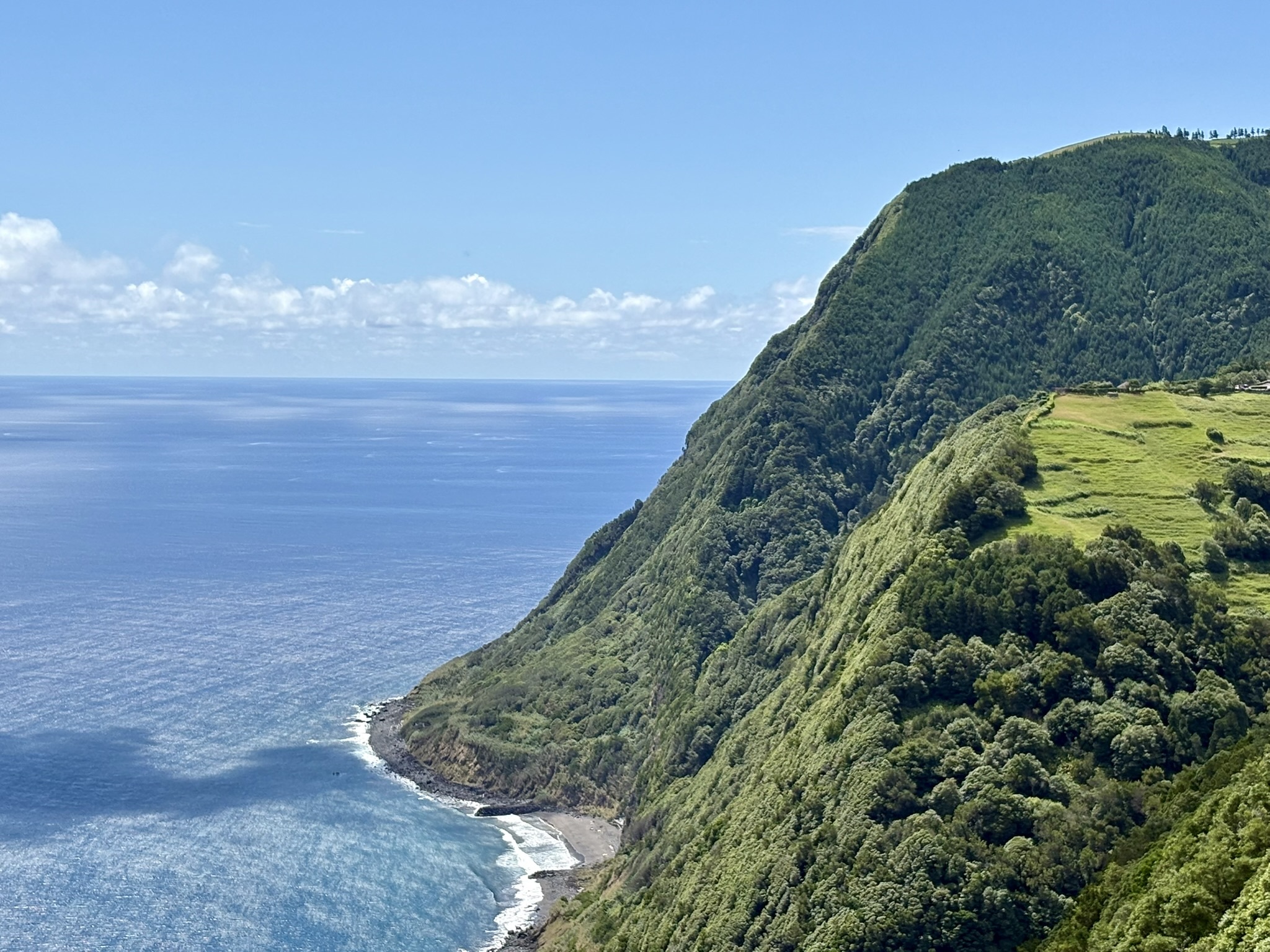 Falaise verdoyante surplombant l’océan à São Miguel